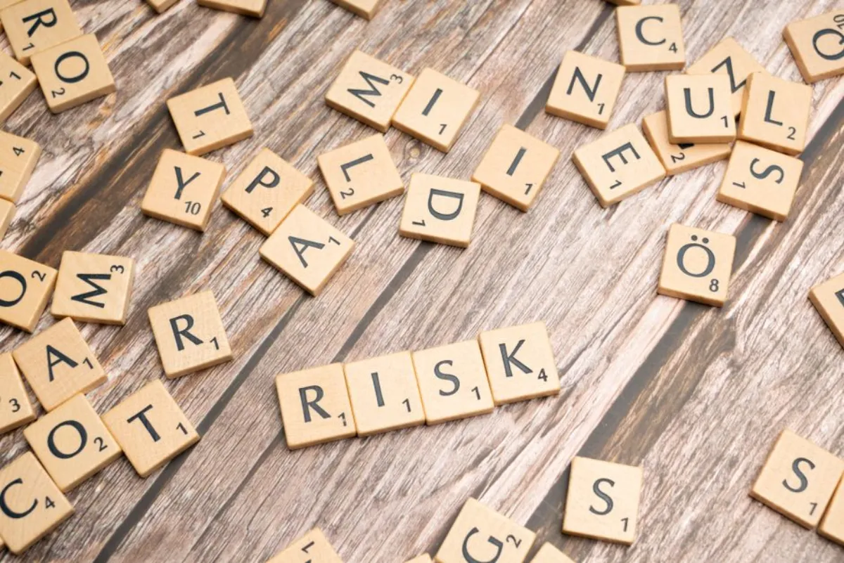financial risk